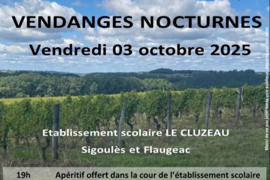 Les vendanges nocturnes au Cluzeau : une tradition sous les étoiles !